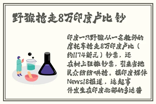 5g罗志祥天天奭多人运2023 龙族