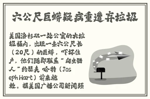 好男人观看免费视频2019